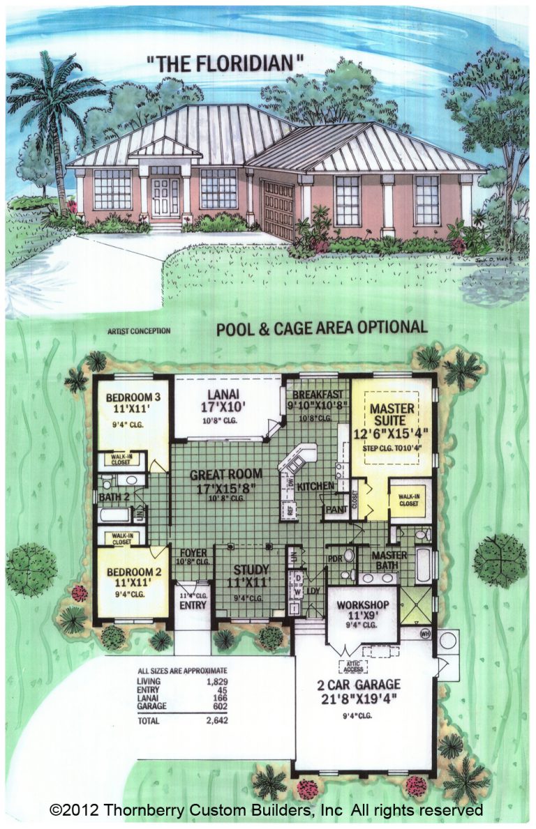 Model Floridian thornberry